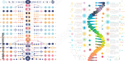 Genome sequence map, chromosome architecture and genetic sequencing chart abstract data photo