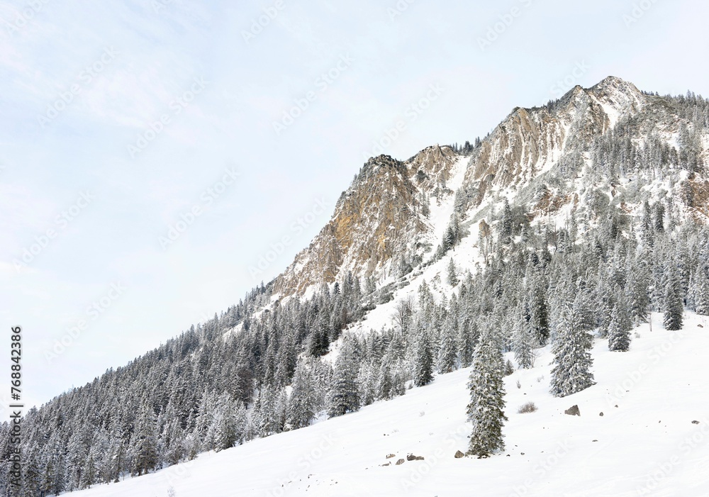 Close up of a rocky mountain covered in snow and evergreen trees