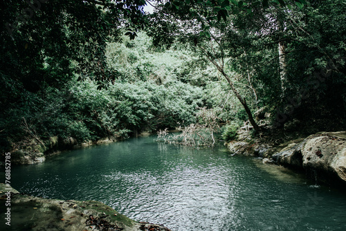 Green water river in the forest