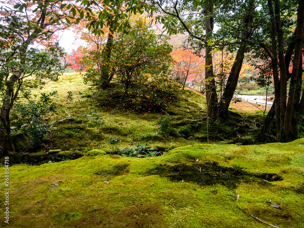 Fototapeta premium Autumn landscape in the Insuien Garden in Nara, Japan.