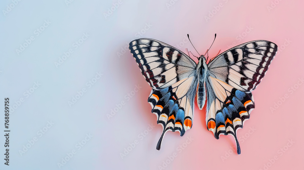 Fototapeta premium A beautiful butterfly sitting gracefully on a pastel isolated background, with ample copy space