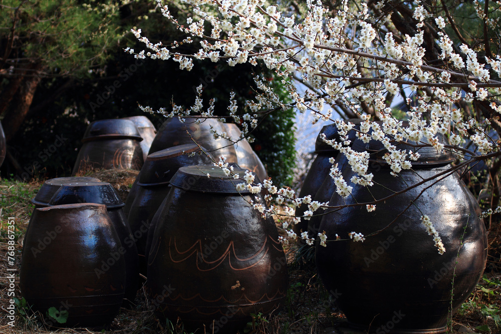 the view of the village with plum blossoms in bloom the view of the village with plum blossoms in bloom