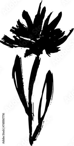 Dry Bruch Grunge Dandelion Flower Silhouette