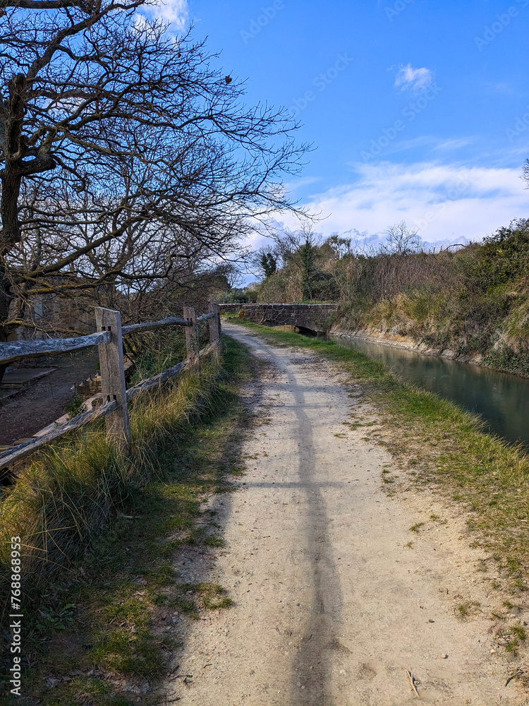 Fototapeta premium path in the countryside