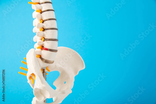 Mockup of the spine on a blue background. The concept of diseases and treatment of the spine in medicine. Back pain, sciatica, spinal fracture and injury. Copy space for text, spinal canal stenosis photo