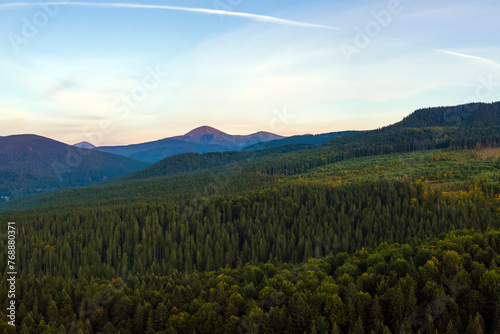 Aerial view of bright foggy morning over dark hills with mountain forest trees at autumn sunrise. Beautiful scenery of wild woodland at dawn