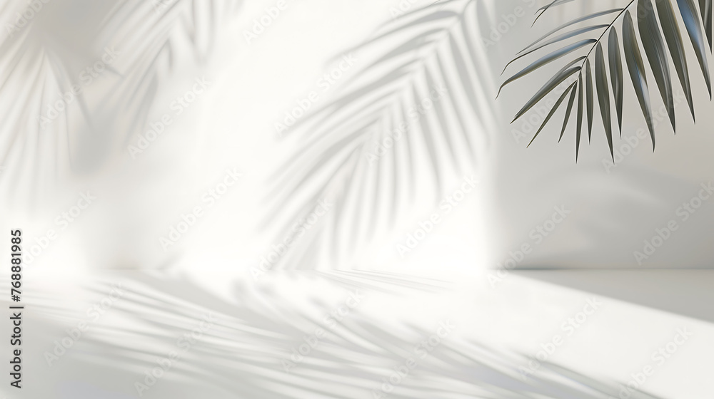 Tropical palm leaf shadow background wall, used for product display, advertising display, summer sample display,Minimalist poster banner background Tropical palm leaf shadow background wall, used for product display, advertising display, summer sample display,Minimalist poster banner background