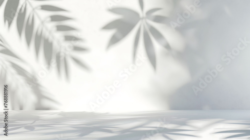 Tropical palm leaf shadow background wall  used for product display  advertising display  summer sample display Minimalist poster banner background