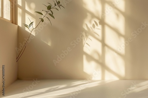Minimalistic abstract simple gentle light beige background for product presentation with light and beautiful shadow from window on wall