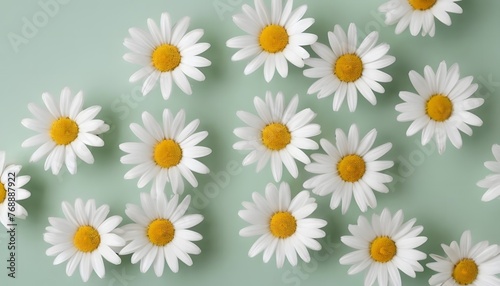 Multi-color daisy chamomile flowers wallpaper, background, Modern lifestyle, summer, spring concept. flat lay, top view. Ai Generate © Farjana Fim