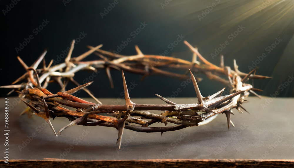 Close-up of crown of Thorns. Close-up of crown of Thorns.