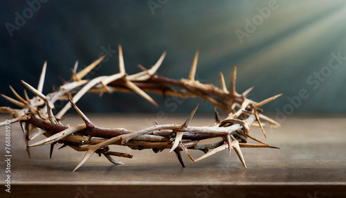Close-up of crown of Thorns.