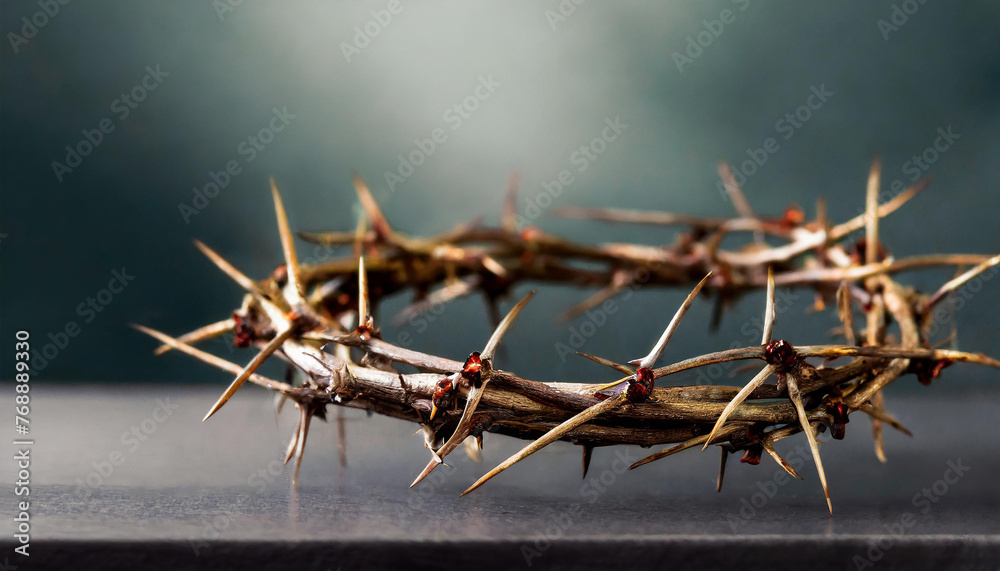 Fototapeta premium Close-up of crown of Thorns.
