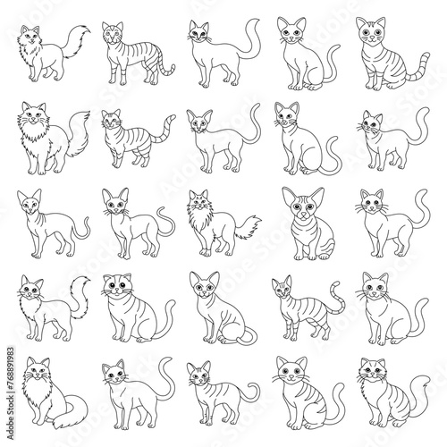 A collection of cats in various poses and positions