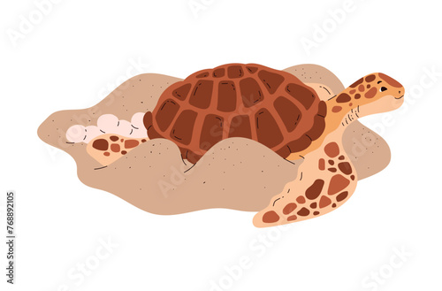 Resting sea turtle. Vector illustration