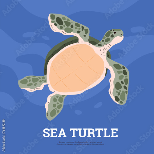 Informative sea turtle poster. Vector illustration