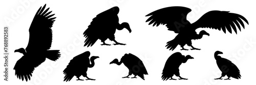 vulture vector