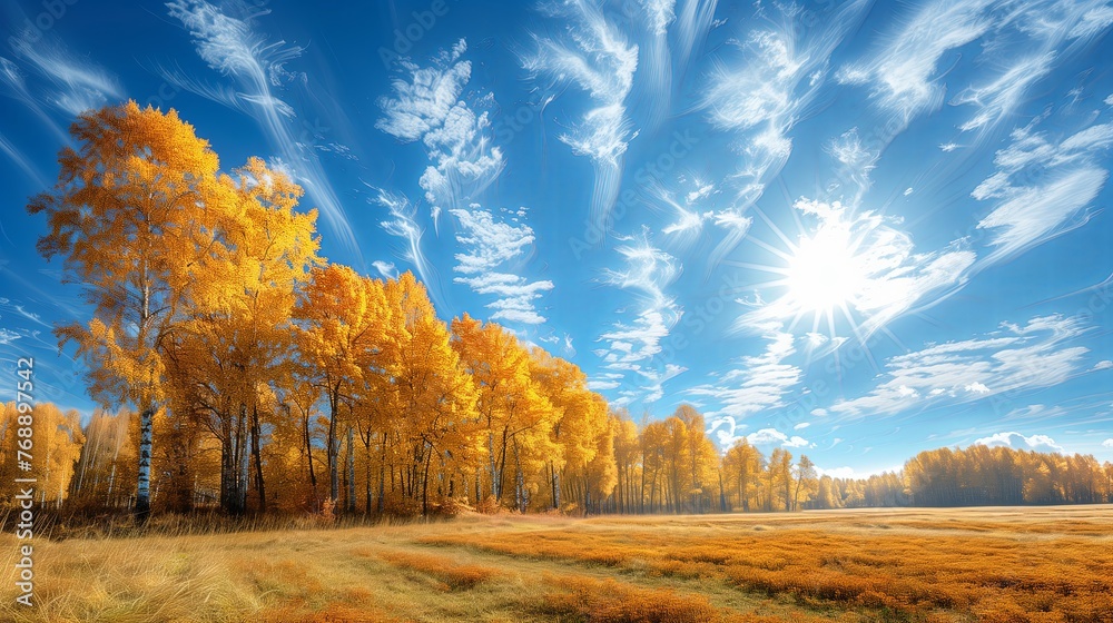 Fototapeta premium Yellow and and orange trees, Autumn nature landscape