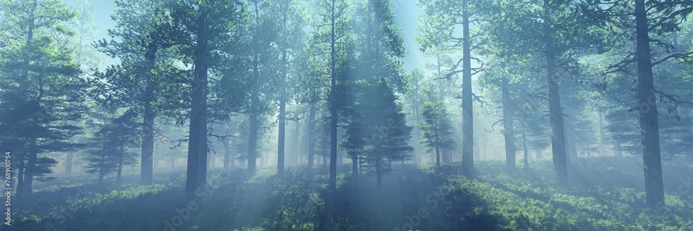 Φωτογραφία Forest in the morning in a fog in the sun, trees in a haze of light, glowing fog