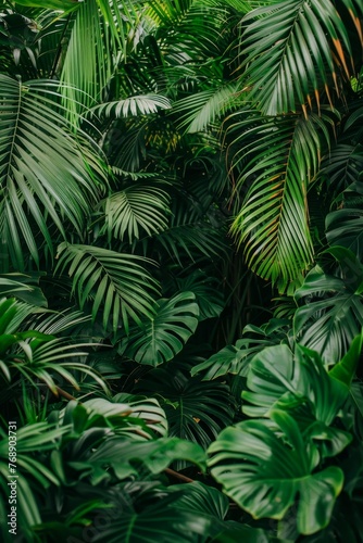 Exotic tropical forest, lush palm leaves, wild jungle trees, panoramic tropical plant wallpaper