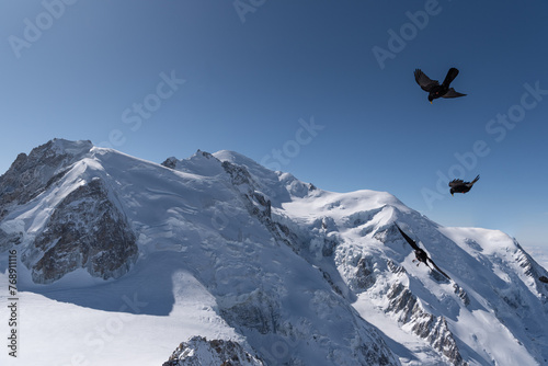 2 black crows hovering over the Mont Blanc massif