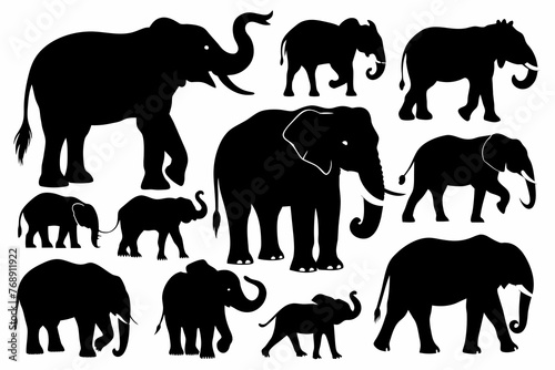 Various elephant silhouettes vector illustration