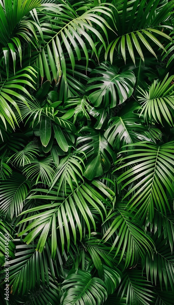 Exotic jungle with lush palm leaves and trees for stunning nature panorama wallpaper