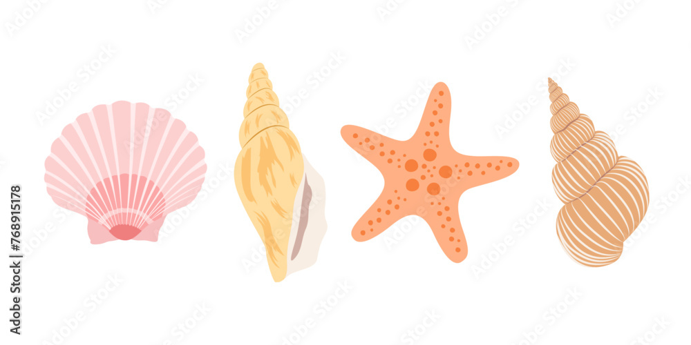 Set with shells and starfish isolated on white background. 