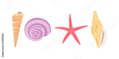 Set with shells and starfish isolated on white background. 