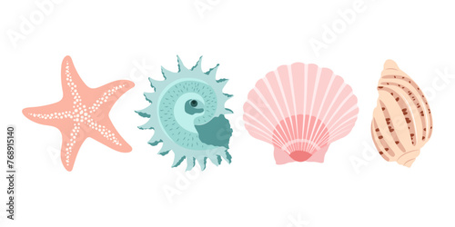 Set with shells and starfish isolated on white background. 