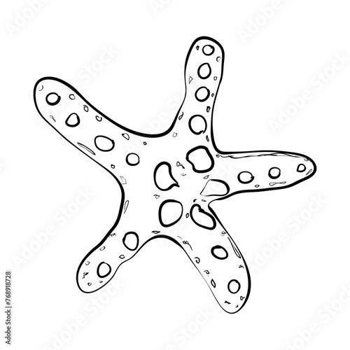 Starfish isolated on white. Modern creative line art graphics.Vector illustration.