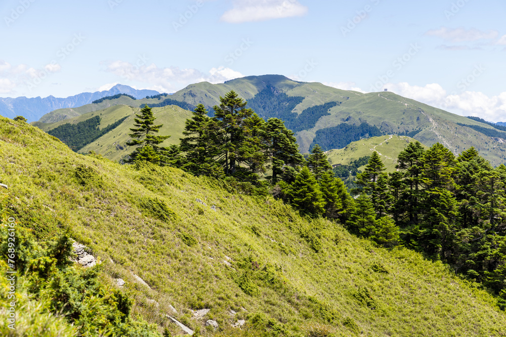 Scenery of the green mountain Hehuanshan