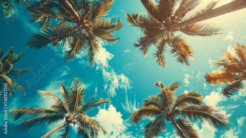 Tropical beach serenity: vintage style view of blue sky and palm trees from below, summer travel background