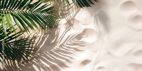 Palm tree is on the sand with its leaves casting a shadow. Concept of relaxation and tranquility, as the palm tree and its shadow create a peaceful atmosphere photo