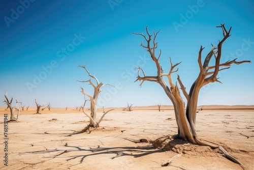 Skeletal trees in a vast, sun-scorched desert landscape. Dead Trees in Arid Desert