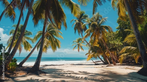 Golden palms cast long shadows on serene  deserted tropical shoreline - tranquil beachscape scene