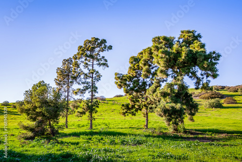 countryside landscape 