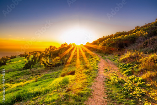 sunbeams in meadow 