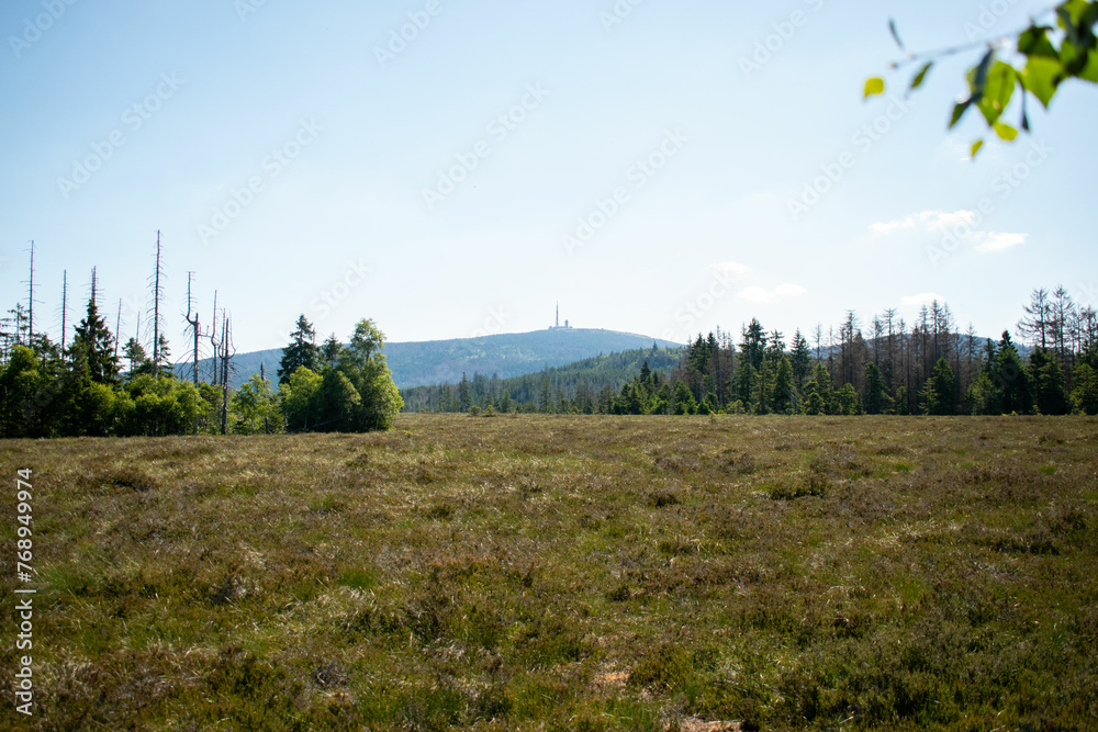 Blick auf den Brocken im Harz (Torfhausmoor)