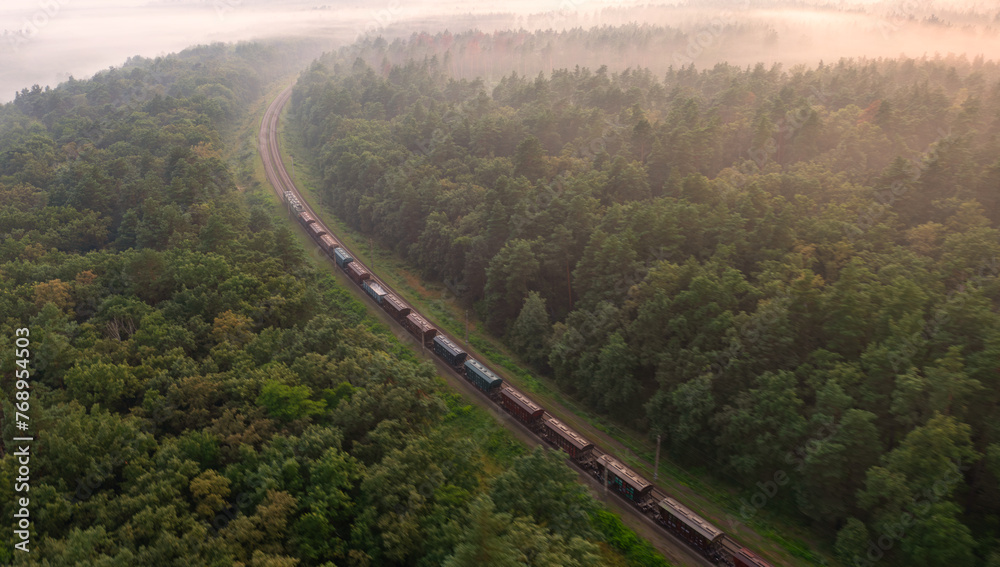 Ethereal Voyage: Train Vanishing in the Forest Mist