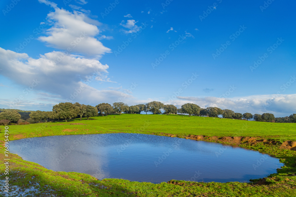 Fototapeta premium Landscape with trees and lake