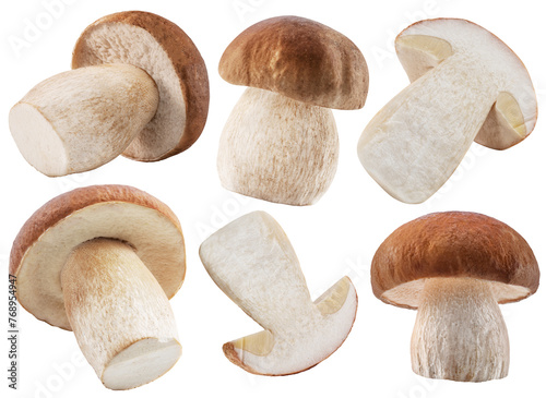 Collection of porcini mushrooms on white background. File contains clipping paths.