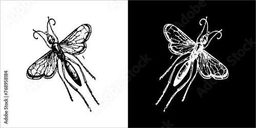 Illustration vector graphics of Buggys icon