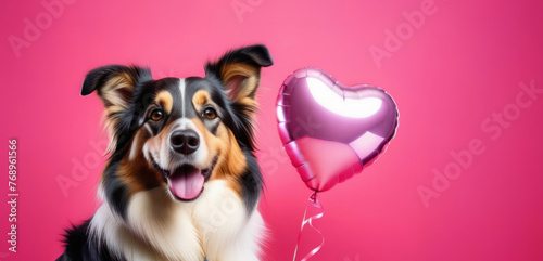 Cute dog with heart shape balloon on pink background. Valentines day concept.
