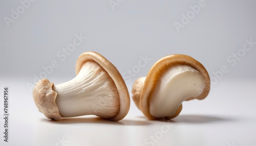 ear mushroom or Jew's ear isolated on white background