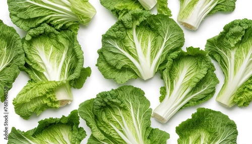 Fresh chinese cabbage leaf isolated on white background ,Green leaves pattern