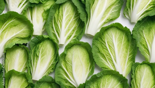 Fresh chinese cabbage leaf isolated on white background ,Green leaves pattern