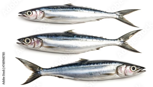 Fresh mackerel fish isolated on white background