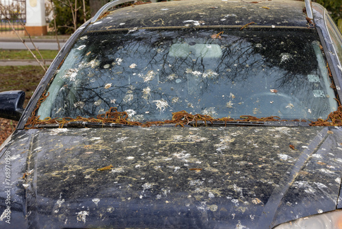 Vogelkot vom Auto entfernen, Beseitigung, Reinigung 