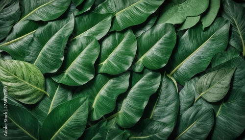 Green leaves pattern for nature concept,tropical leaf textured background with copy space
